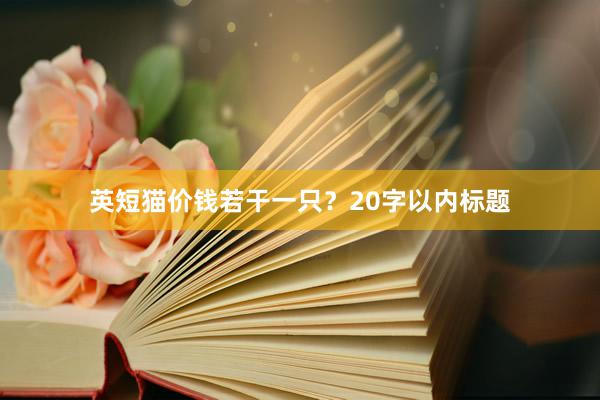英短猫价钱若干一只？20字以内标题