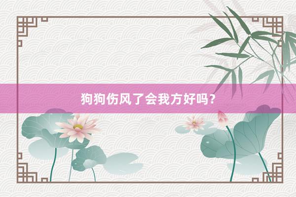 狗狗伤风了会我方好吗？